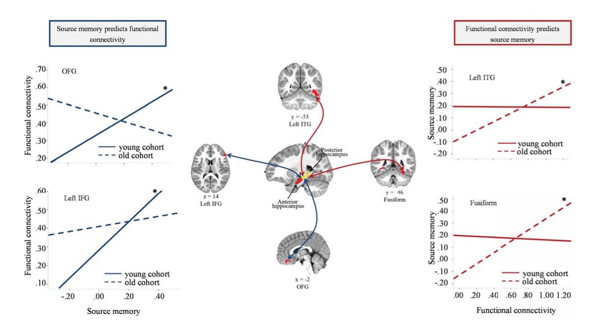 New #JNeurosci research from @TracyRigginsPhD <a href="/gengfj/">耿方杰</a> <a href="/morganbotdorf/">Morgan Botdorf</a> highlights the complex, bidirectional relationship between brain function &amp; ability in childhood, in which early memory abilities predict future brain connections &amp; vice versa.

jneurosci.org/lookup/DOI/10.…