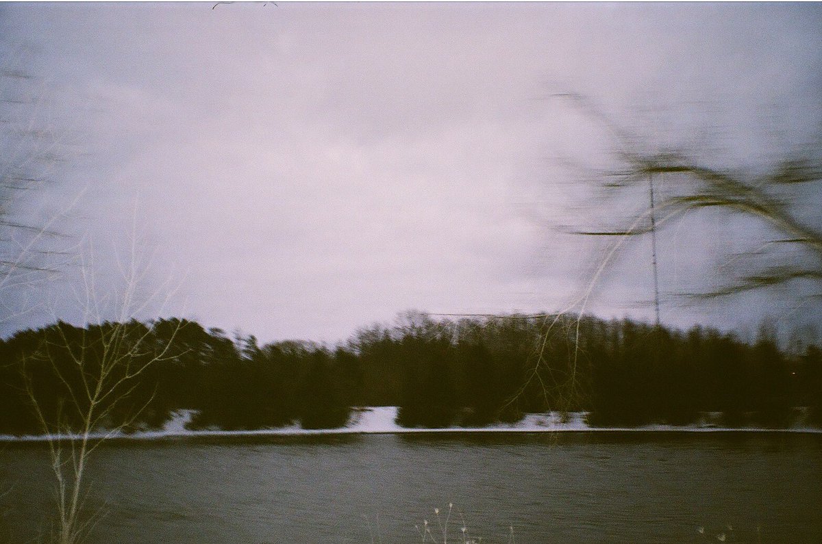 “And into the forest I go, to lose my mind and find my soul” #BelieveInFilm #filmphotography #analogphotography Follow for more on IG: moregucci_film