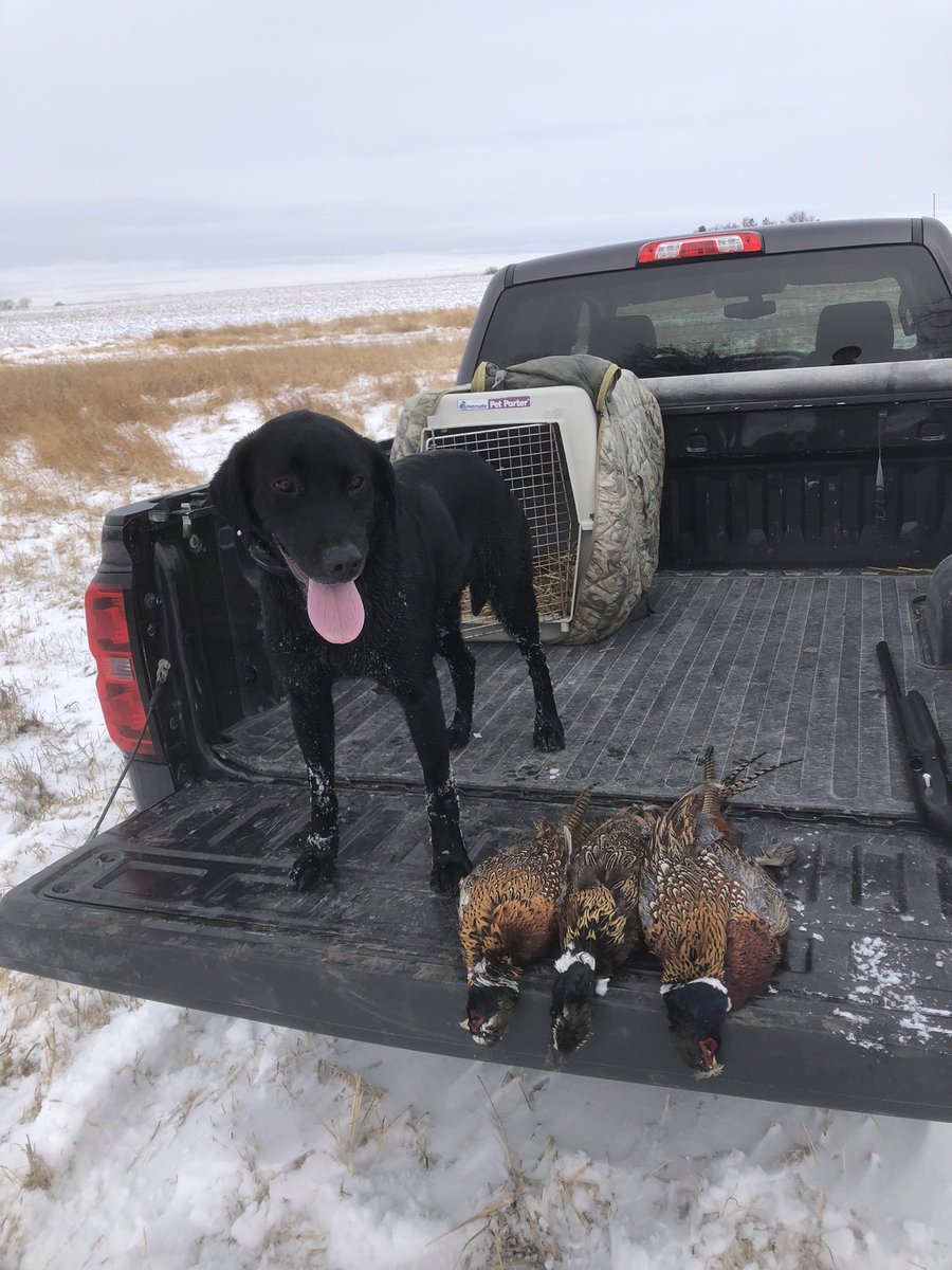 Ed Klamfoth tweet media