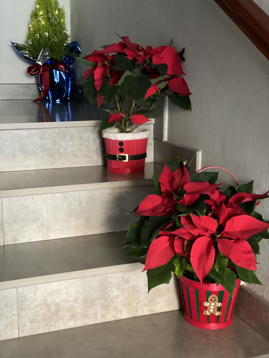 Evisitadoras's tweet photo. Para muchos la Navidad seguirá estando teñida de soledad .... y no será diferente. #stopsoledad https://t.co/9PZbongyhX