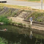 改めて見ても謎？2年前に鴨川で見た光景が意味不明!