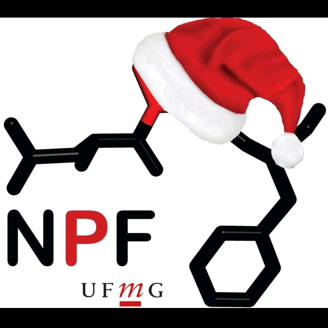 Feliz natal pessoal, que 2021 venha mais leve para todos nós! São os votos da equipe do Núcleo de Proteômica Funcional (NPF) da UFMG! #proteômica #Ciencia