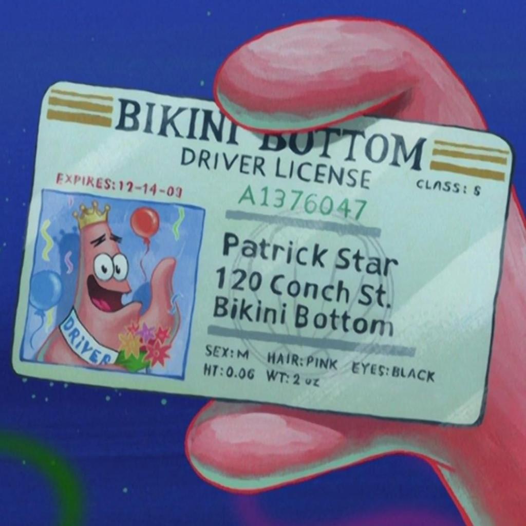SpongeBob's tweet photo. remember, remember the 14th of December https://t.co/5Rwko42jUE