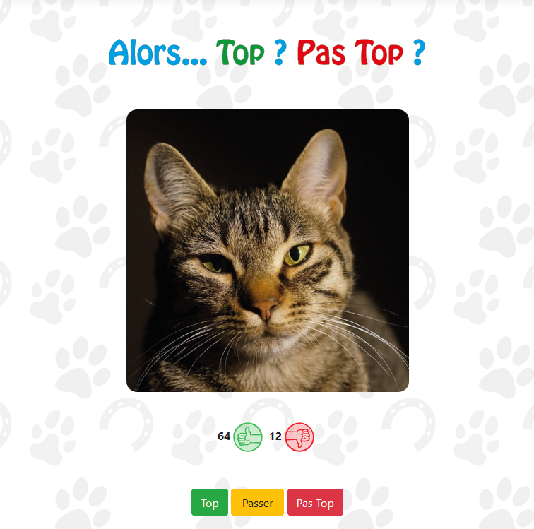 Top__Animals's tweet photo. Alors… Top ou Pas top ?
https://t.co/FixKusvPeb
#cats #dogs #horse #chat #chien #cheval #catoftwitter #dogsoftwitter #horsesoftwitter #topanimals https://t.co/QIdrTm0NHD
