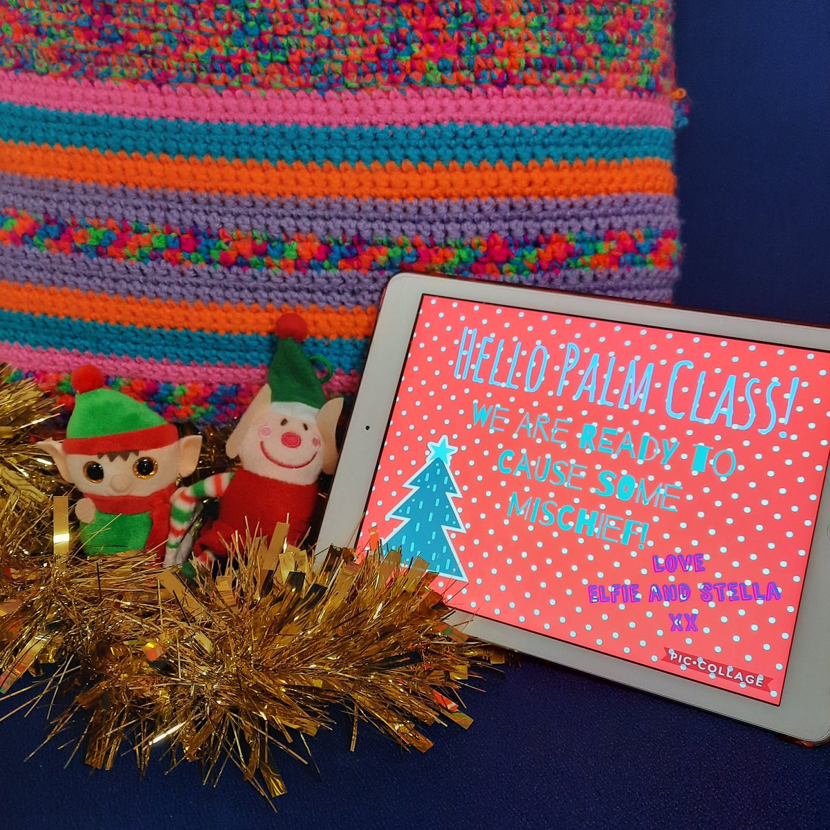 _Mrs_James_'s tweet photo. Oh no...Elfie's quarantine at @MaesYMynydd is now over, I wonder what mischief him and Stella will cause! 🎄 #Elfie #ElfIsolation #ChristmasTime #Happy #Elves #Cheeky https://t.co/lrvSzFfyFr