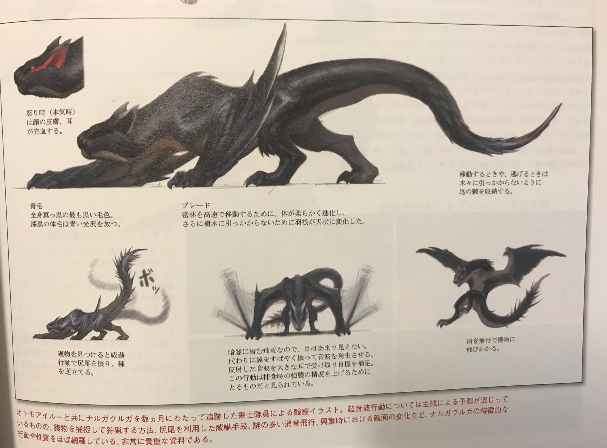 Bannedlagiacrus A Researcher And Palico Followed A Nargacuga In The Wild For Several Months And They Learned A Lot About The Species From This One Individual Like Tigrex Nargacuga Isn T Bannedlagiacrus A Researcher And Palico Followed A Nargacuga In The Wild For Several Months And They Learned A Lot About The Species From This One Individual Like Tigrex Nargacuga Isn T