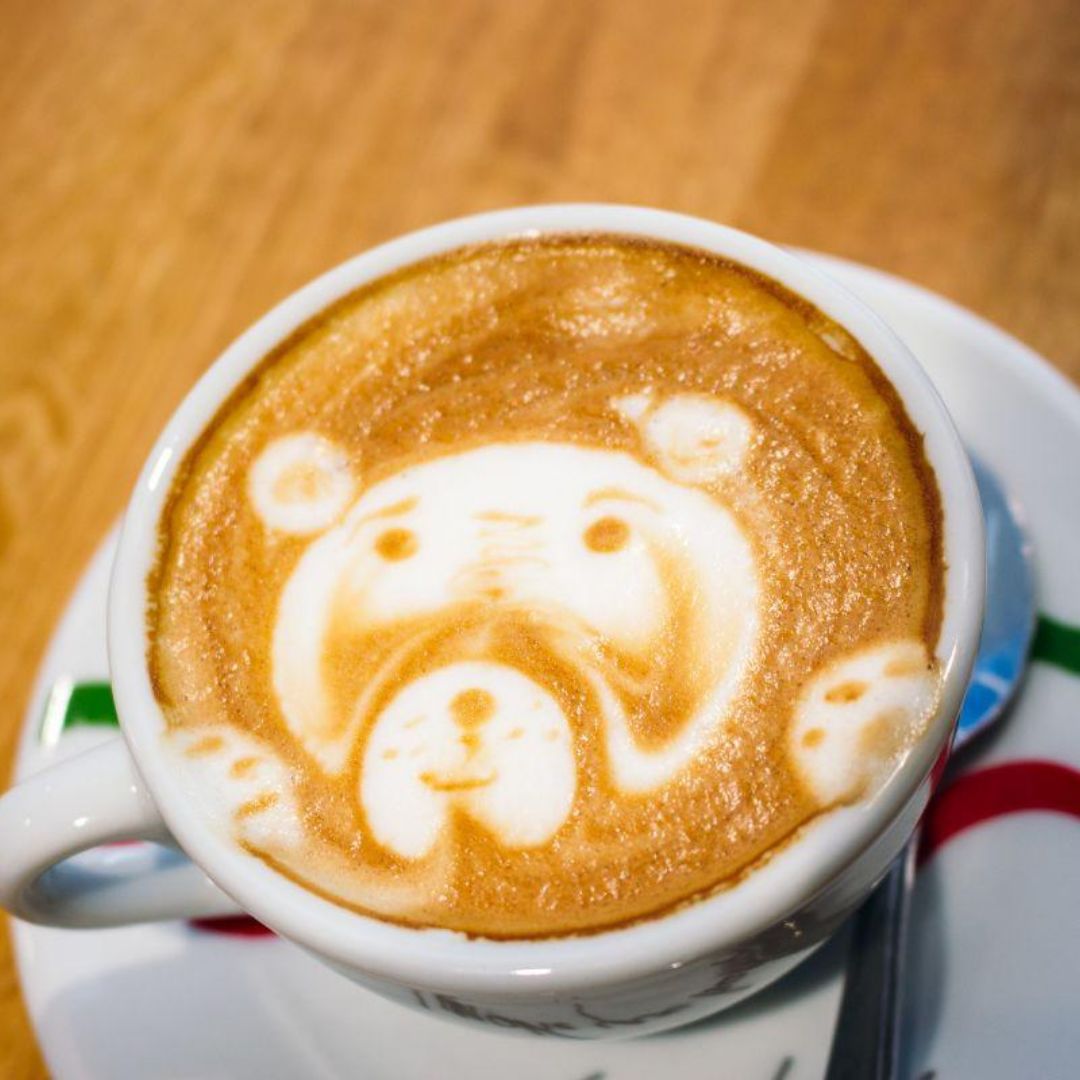 MisterLasagna's tweet photo. Start your week right by ordering this little guy! 🐻✨ https://t.co/yg82SEFa1i