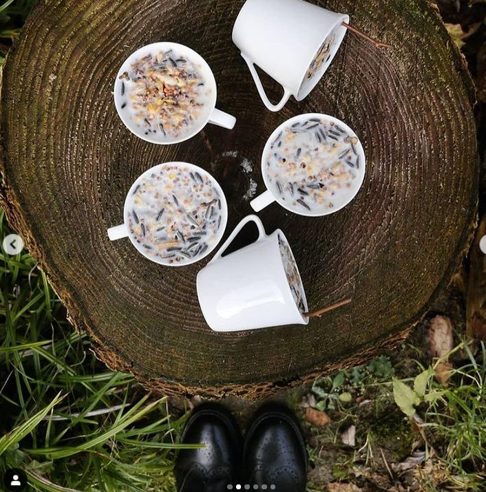 Peace With The Wild tweet media