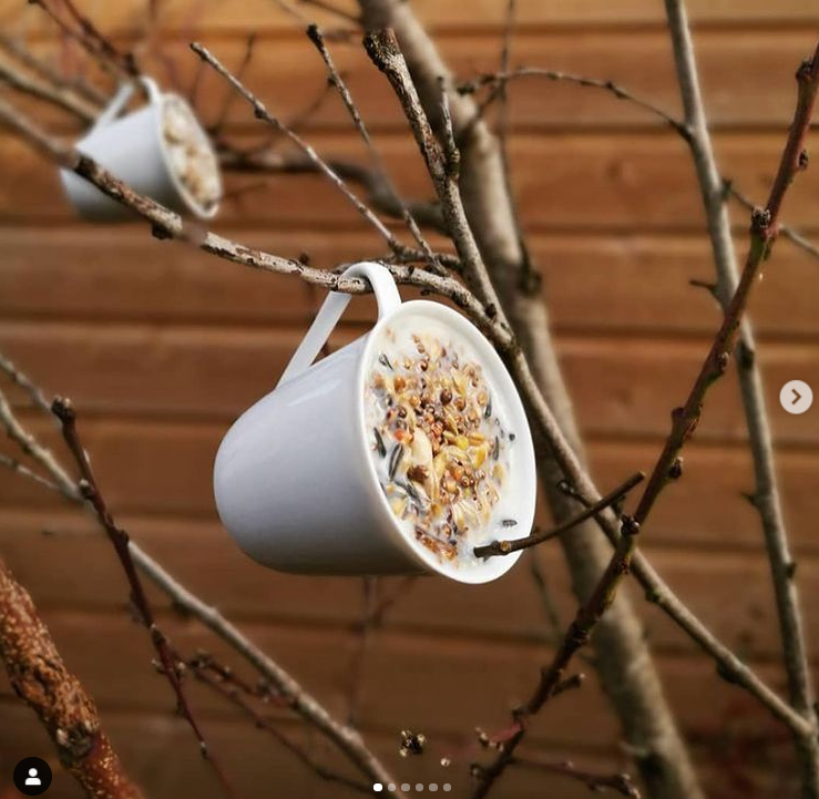 Peace With The Wild tweet media