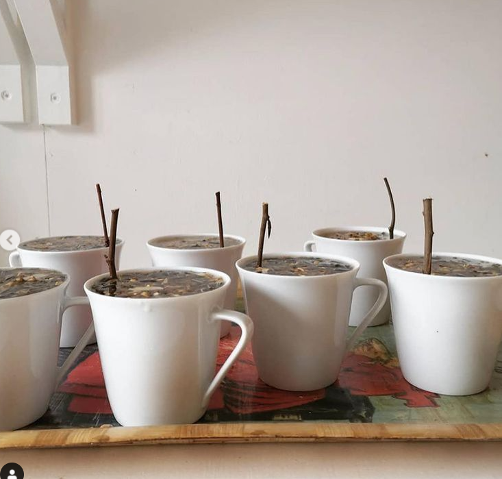 Peace With The Wild tweet media