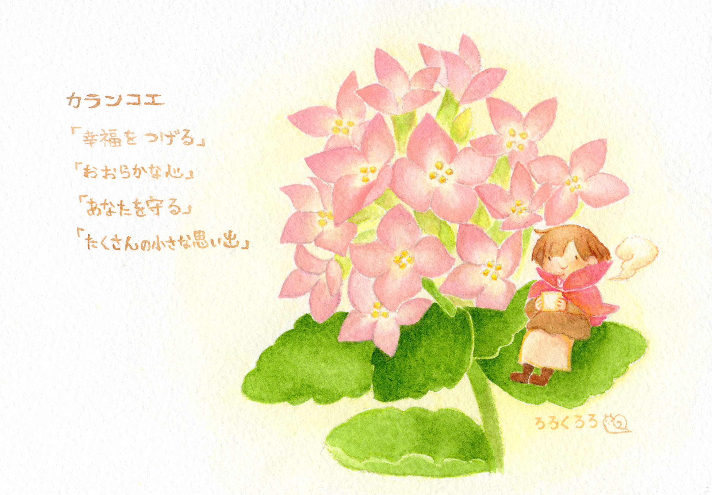 ろろくろろ 北九州 先日プレゼントのために描いたイラストです カランコエ 花言葉 幸運を告げる おおらかな心 あなたを守る たくさんの小さな幸せ T Co Deqzz79zvq Twitter