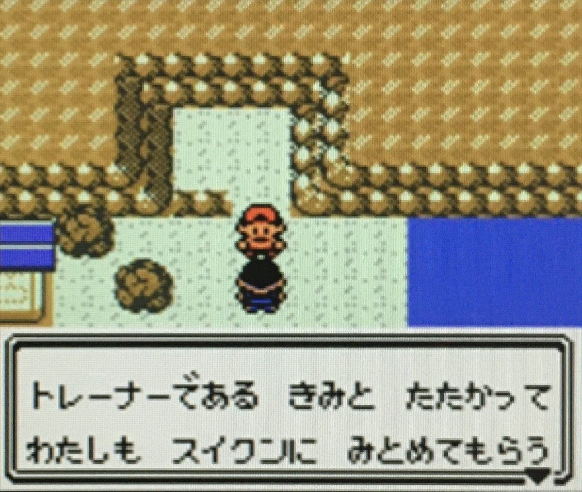 ゲーム探偵団 V Twitter 本日はゲームボーイカラー ポケットモンスター クリスタルバージョン が発売されて周年です おめでとうございます ゲーム探偵団 V Twitter 本日はゲームボーイカラー ポケットモンスター クリスタルバージョン が発売されて周年です おめでとうございます