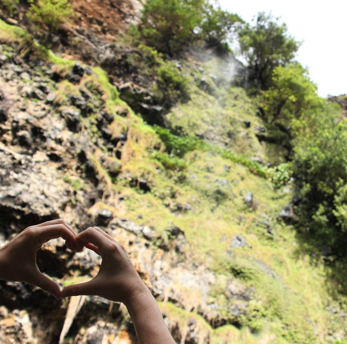 sthelenatourism's tweet photo. "There are no shortcuts to any place worth going."
Visit St Helena's Walking and Hiking page for inspiration https://t.co/RXOz660kJN on a variety of landscapes to explore when it is safe to travel again. #StHelena #WalkStHelena #UniqueStHelena https://t.co/c7wKvAYEPp