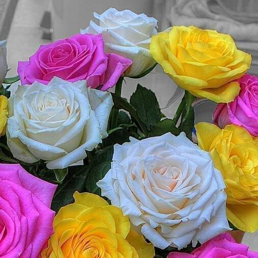 yasser33112's tweet photo. @ingrdmgs https://t.co/OSTK538v1L