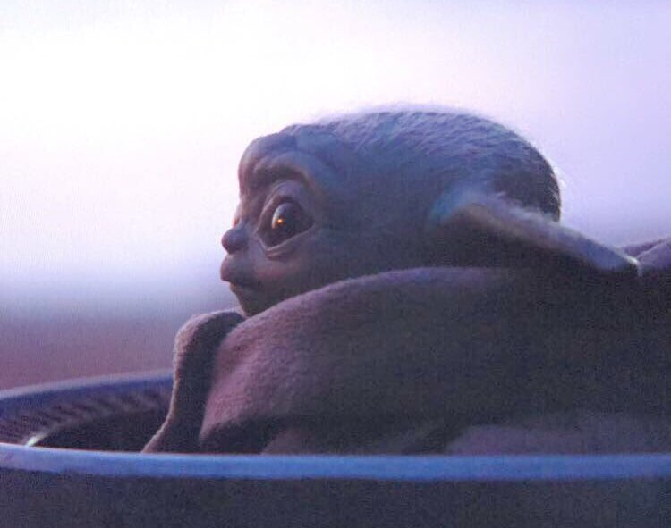 Victoria Pedretti as baby yoda; a thread.