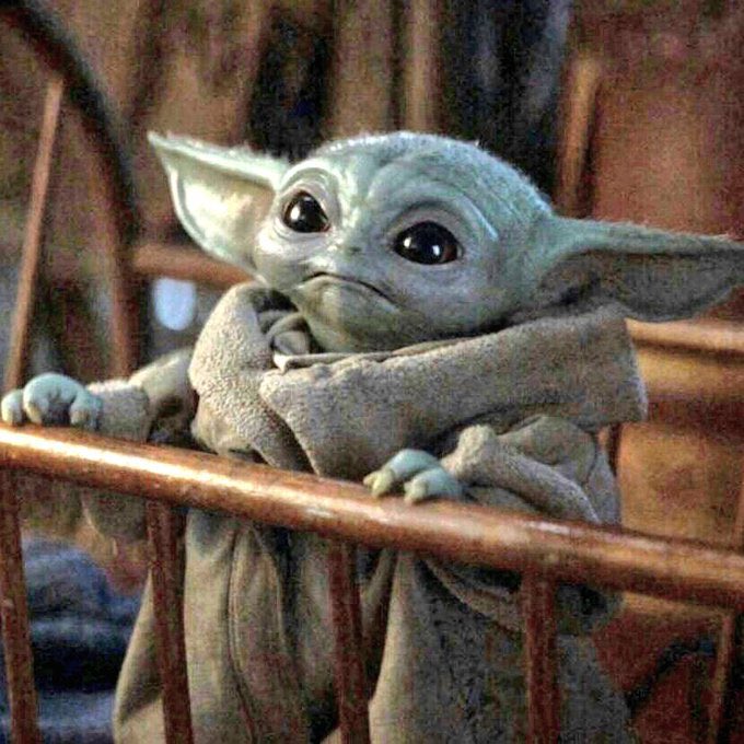 Victoria Pedretti as baby yoda; a thread.