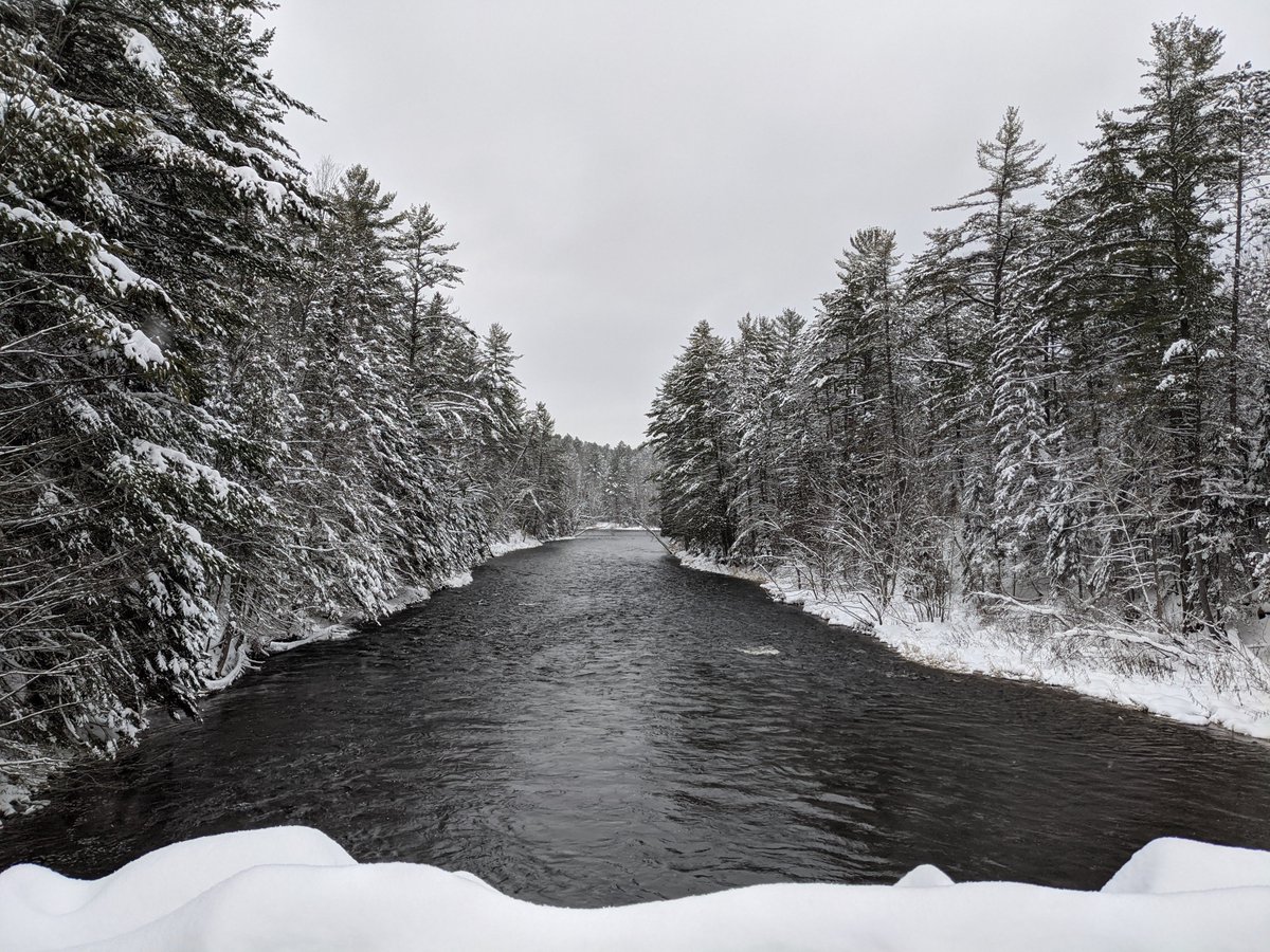 steertonorthONT's tweet photo. Winter wonderland...winter has not quite officially arrived but the landscape has been painted. #northernontario #backroadsbill https://t.co/XrGPQxTbYJ