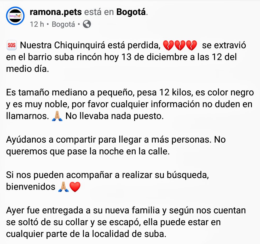 DiaAnimales's tweet photo. 🐾🆘DIFUNDIR🆘 - @Bogota / De #RamonaPets nos reportan a #Chiquinquira 🐶, #Cachorra extraviada por el sector rincón de la localidad de #Suba. Si la ven, por favor acogerla y dar aviso al 📞3138970593📱🐕.
RT @ALCALDIASUBA11, @PoliciaBogota, @MONYRODRIGUEZOF, @juliherrerap 🙏🐾 https://t.co/U3akeKpUpM