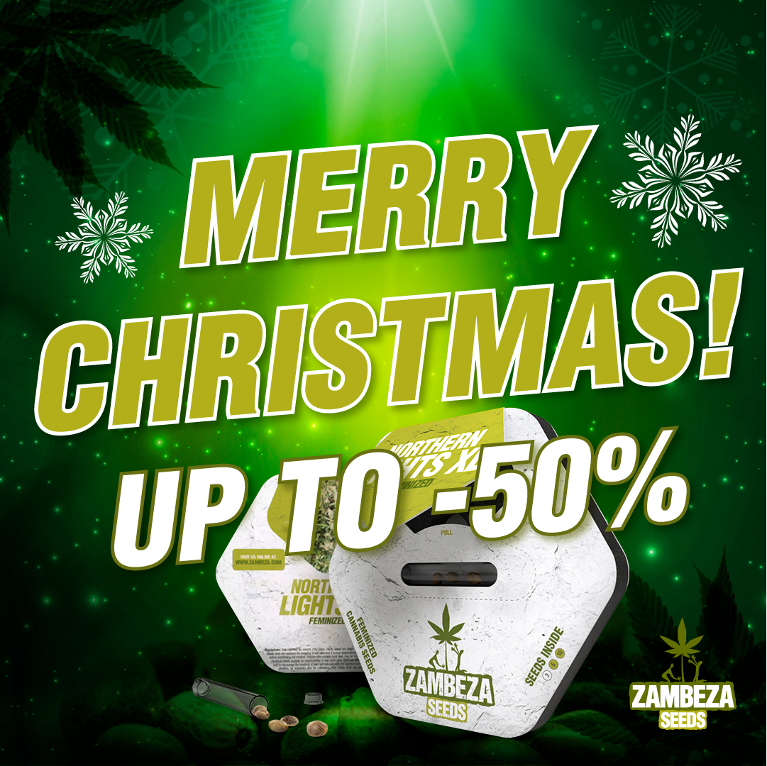 From Zambeza Seeds we want to wish you Merry Christmas!

Last days to get our incredible promotion: Treat yourself with up to 50% off all auto and feminized seeds!

Buy now➡ zambeza.com

#zambeza #zambezaseeds #sativa #420life #cannabiscommunity #indica #highlife