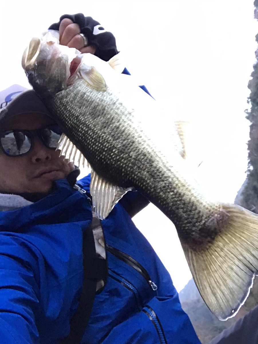 YMDMNR's tweet photo. 久しぶりに良いサイズきたー3連発！ #bottomupfishinggear #breavor #ブレーバー57 #daiwa https://t.co/JusSFYtyya