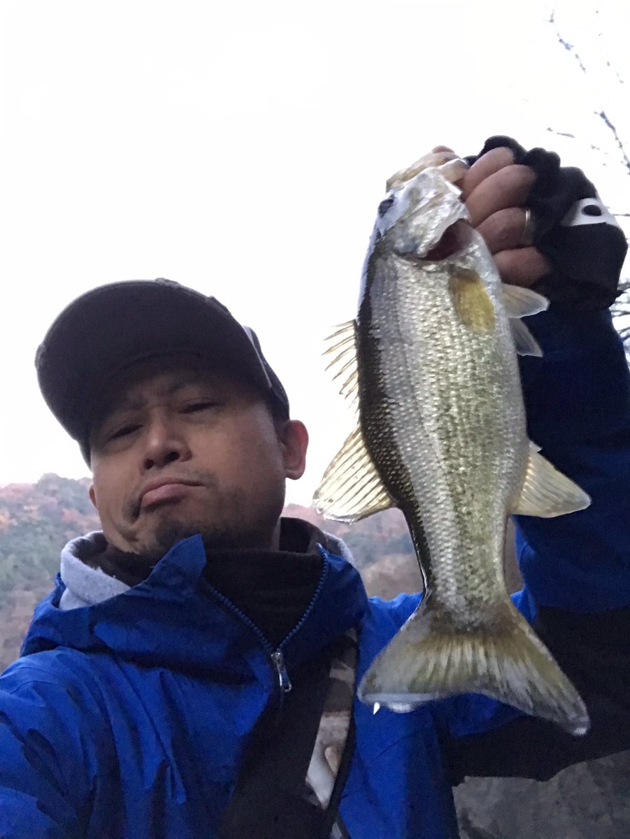 YMDMNR's tweet photo. 久しぶりに良いサイズきたー3連発！ #bottomupfishinggear #breavor #ブレーバー57 #daiwa https://t.co/JusSFYtyya