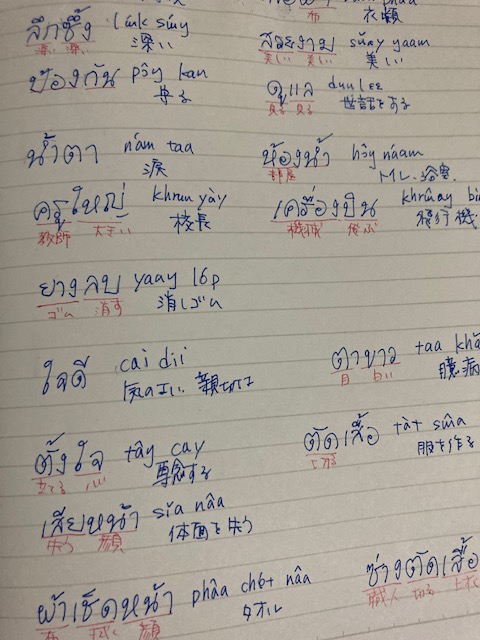 テキストいろいろ迷って少し前に買ったやつ。
タイ文字部でも何人か使ってらっしゃるようだしレビューも良かったので。

目＋白＝臆病　ってよくわからんけど

#タイ文字部