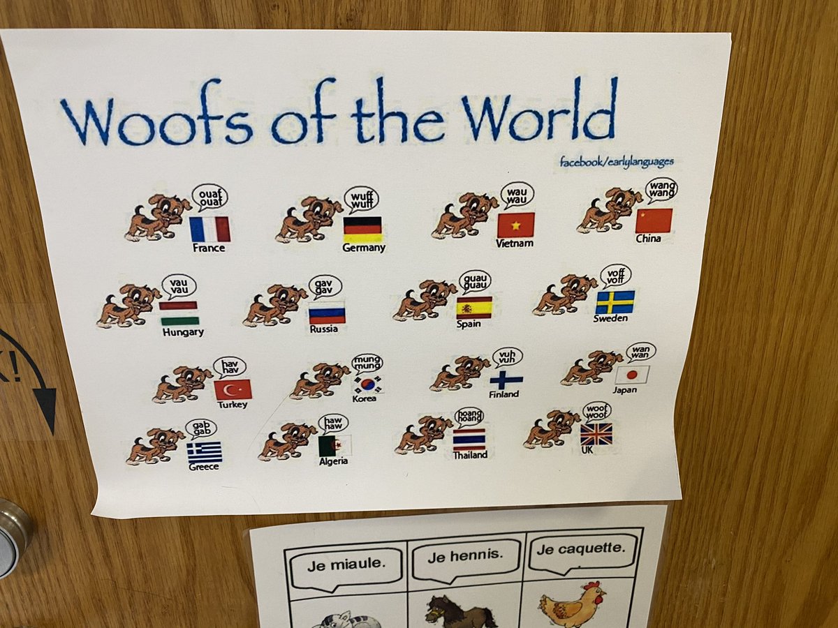 TonyJaccaci's tweet image. C’mon, this is tres cool! “Woofs of the world” seen on a @CountryDay Lower school World Languages classroom door. J’aime les chiens! #ccdsglobal #ccdslearning 🐕