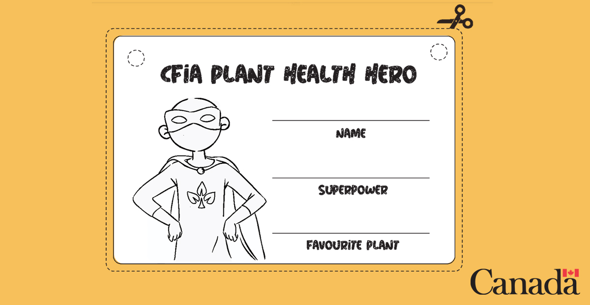 InspectionCan's tweet photo. A #JuniorCFIA scientist is a #CDNPlantHero, too! π¦ΈββοΈπ¦ΈββοΈ With our newest activity book, your little one(s) can keep learning #VirtuallyTogether. #C360 https://t.co/jRKNanPOfs https://t.co/o3xXb4d3ww