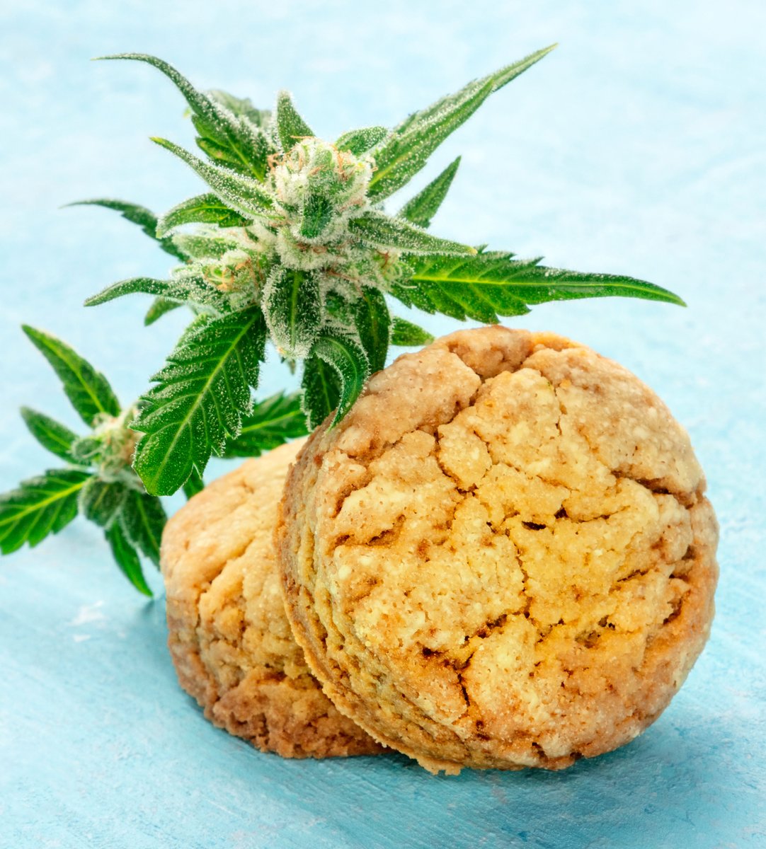 Any great cannabis cookie recipe uses both normal butter and cannabutter. Too much cannabutter dominates the flavor and hurts the delicate balance of fat needed to keep the cookie moist without falling apart. Weed cookies are good, but good weed cookies are better. #meltymondays