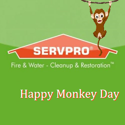 SERVPROER's tweet photo. 🙊 🙉 🙈

My goodness it's #MonkeyDay 🐒 how much do you love monkeys🐒 https://t.co/oIoDjT313K