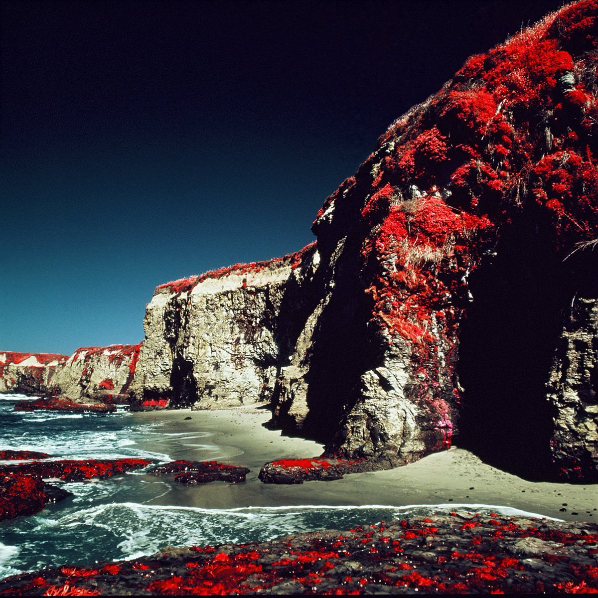MLHannahFineArt's tweet photo. For the rest of the Xmas season I've decided to post my favorite Aerochrome captures of the past. Looking forward to a better 2021 when we can all get out and explore and experiment again.
#aerochrome #hasselbad #believeinfilm #filmphotography #heylomography #shootfilmstaybroke https://t.co/yTkOZ33I1t