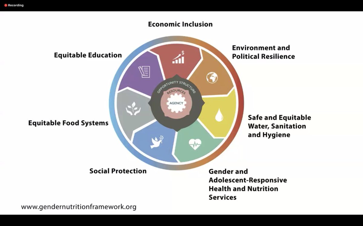 HarvestPlus's tweet photo. Gender equality and nutrition are interconnected. @mjmessenger of @worldvisioncan explained their Gender Transformative Framework for Nutrition. 
https://t.co/EfvUOk770t #NutritionYearOfAction https://t.co/4KoipYWayo