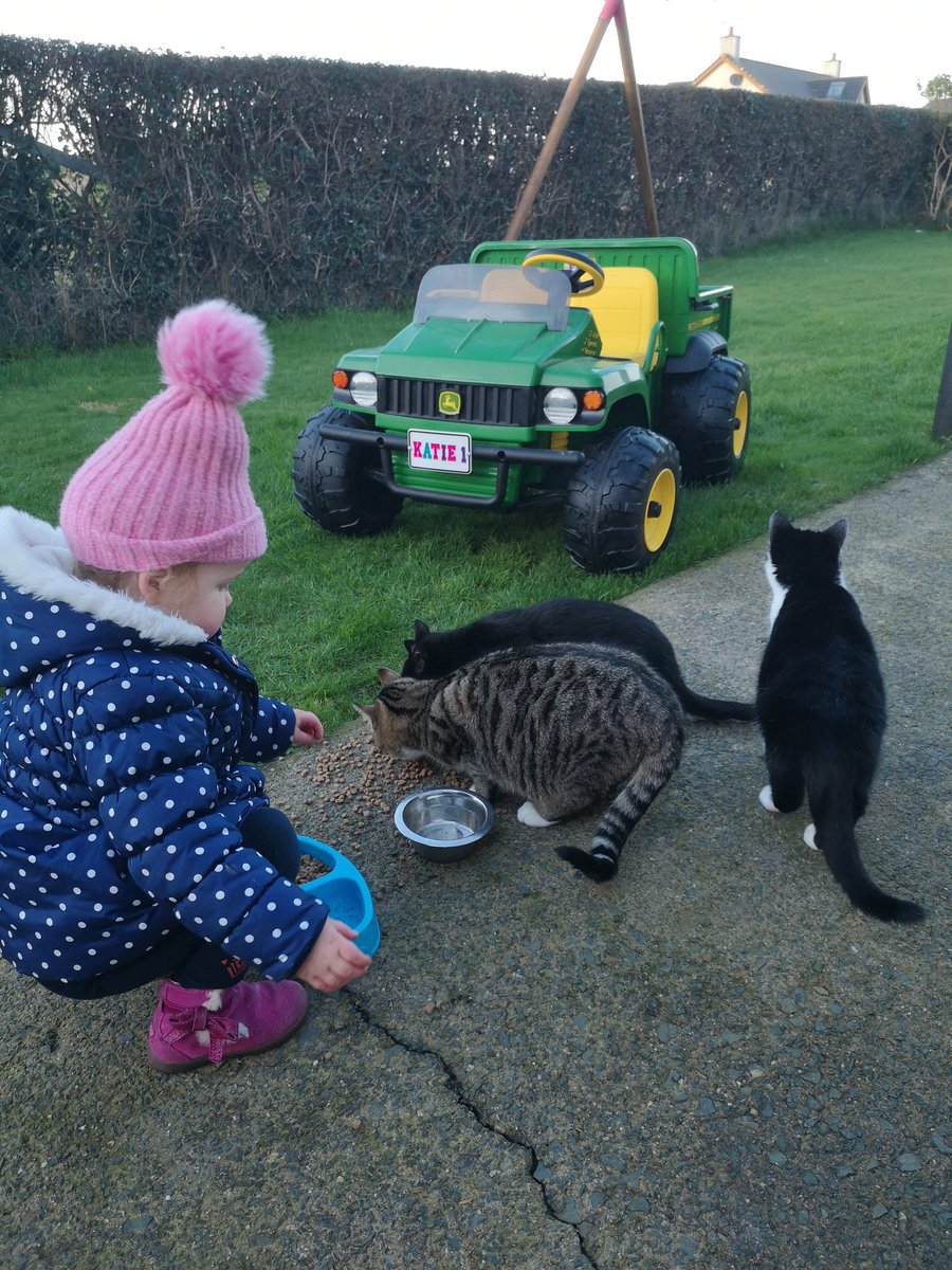 graham7772's tweet photo. The @JohnDeere Gator coming in handy for the daily cat livestock feeding https://t.co/yEcDfjd4r1