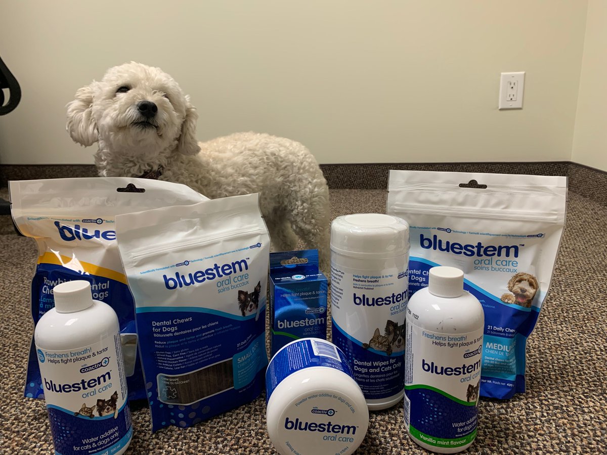 bluestempets's tweet photo. We’ve got you covered for all of your pet oral care needs. Everything from water additives to dental wipes &amp; chews, there is something for every lifestyle &amp; pet! Click the link to find out which #bluestem products will work best for your pet. https://t.co/UY9Q7YgOhd https://t.co/CrxBPlyD22