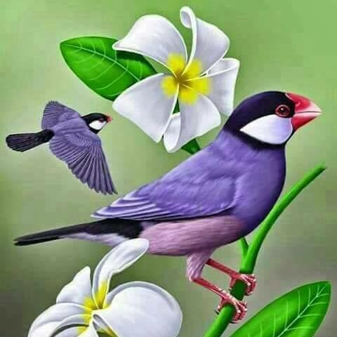 modshashank's tweet image. #NewProfilePic