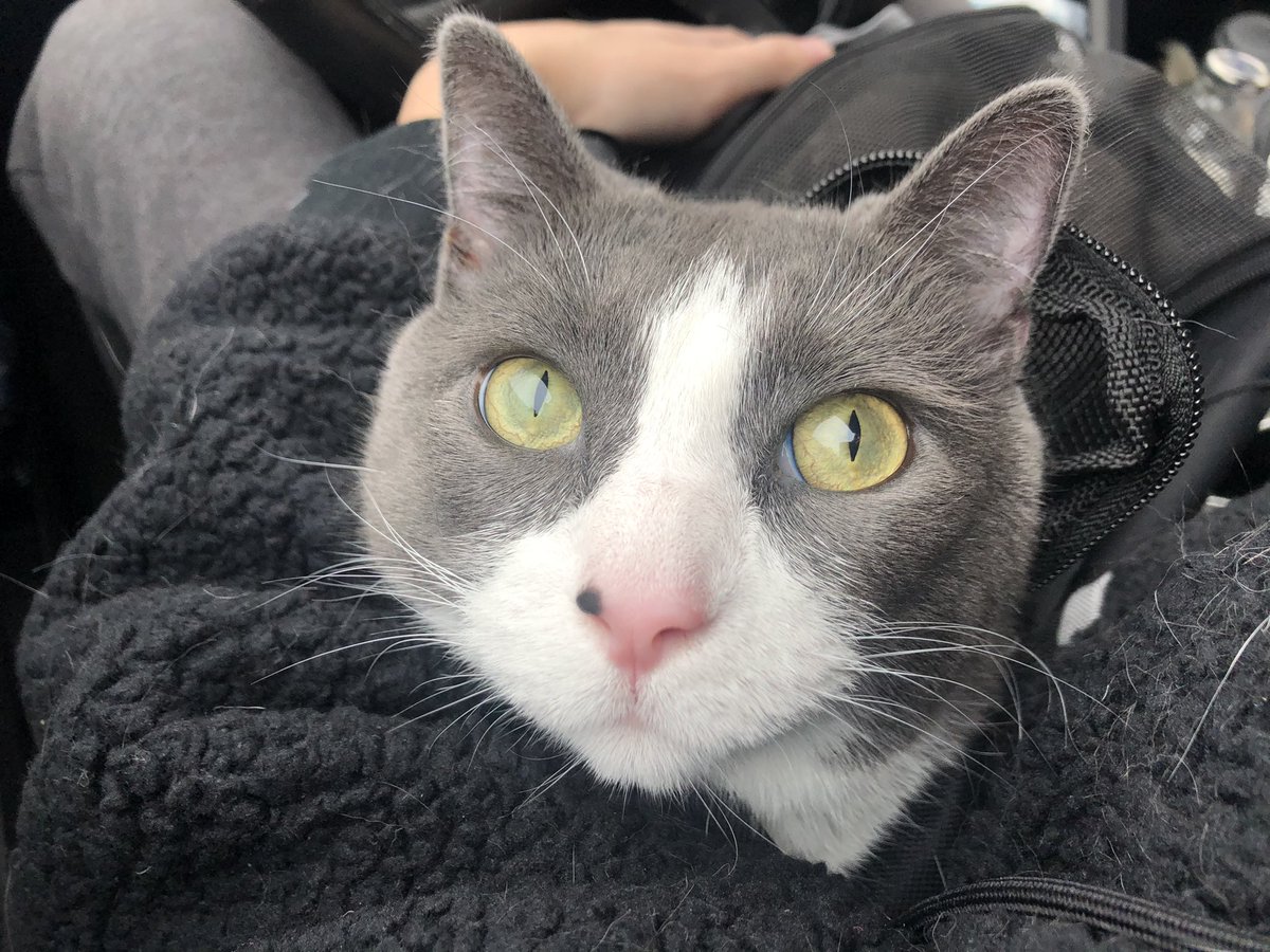 willowkimtin's tweet photo. momb Sticke me in thise..,,; bage. SEND HALPE!! at the bets https://t.co/L6AcnwkfKA