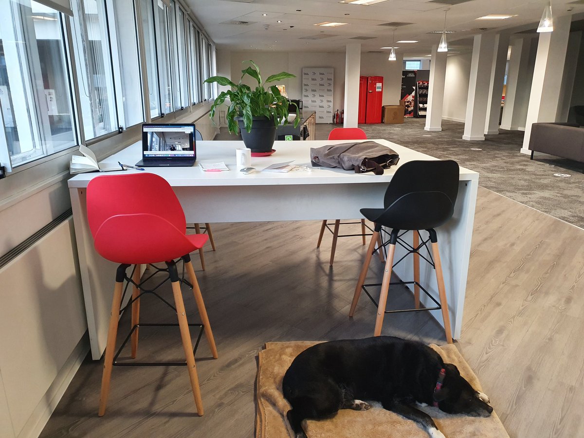 Karenjb78's tweet image. Dog friendly offices are the BEST! Love @northcoders 
😍 #MentalHealthMatters #dogsoftwitter #northcoders #technology