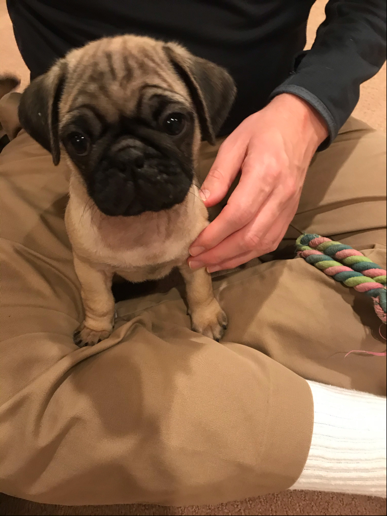 Tweets A B C D E F G H I J K L M N O P Q R S 1 Tweet Id Text Name Screen Name Utc Created At Favorites Retweets Language Client Tweet Type Urls Hashtags Mentions Media Type Media Urls 2 During His Time Leading The