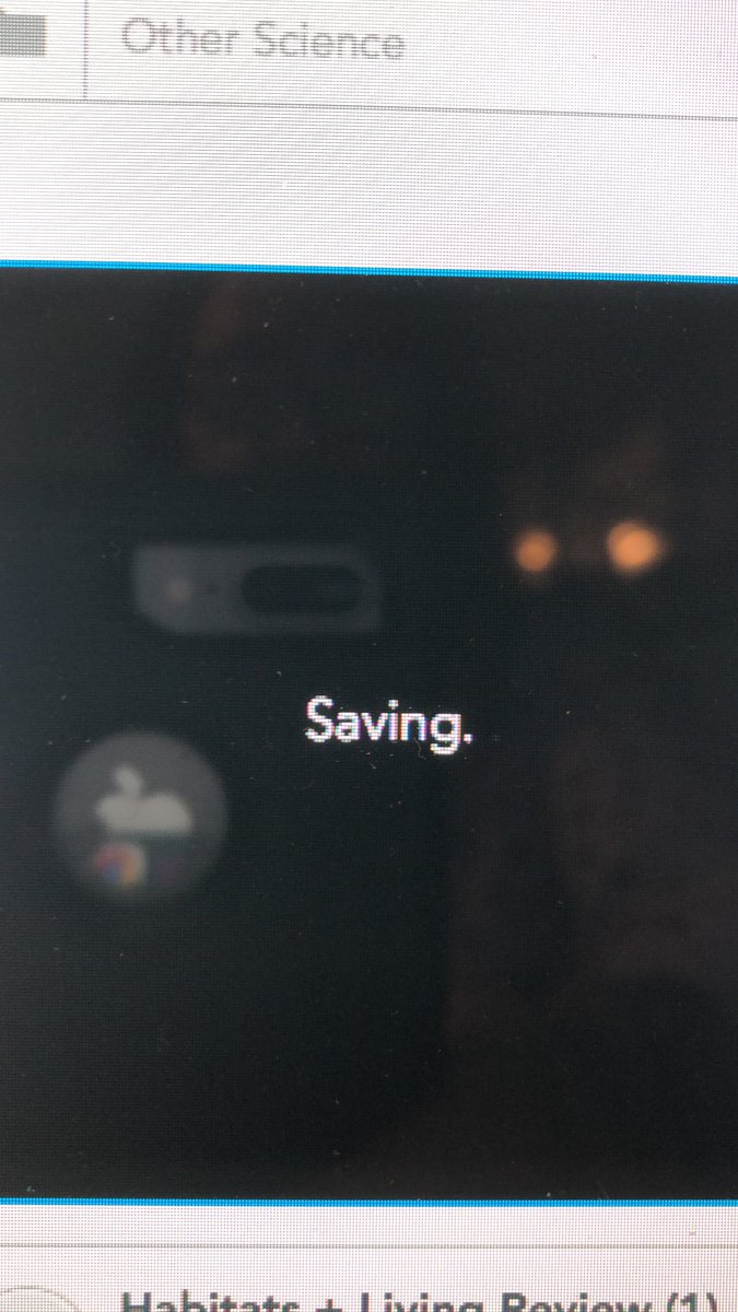 Kim McCain-Correll tweet media