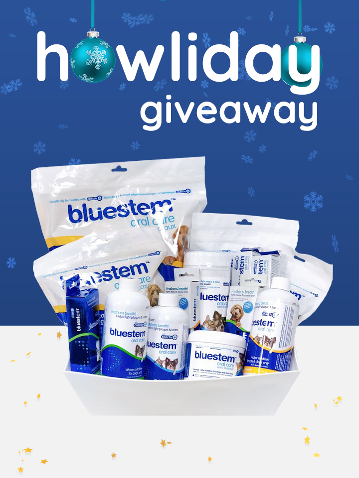 bluestempets's tweet photo. Congratulations Misty Burrows!
You've won our Holiday Giveaway! You will receive a gift basket of all your favourite bluestem products &amp; more. Please private message us with mailing information. Thank you to everyone who participated in the contest. Have a Happy Holiday season! https://t.co/ybYkDlKI8S