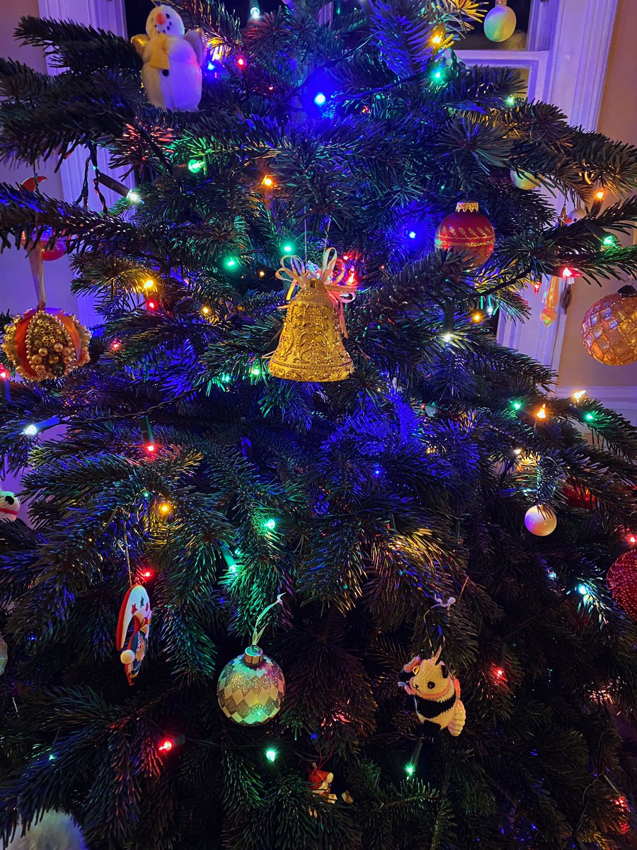 Anyone else’s Christmas tree full of random travel decorations?😅 my favourites are our little pandas from China🐼