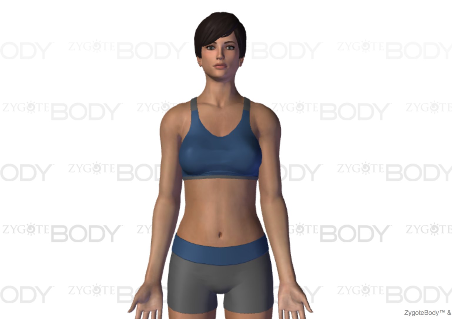 3-д атлас по биологии zygote body. Zygote body. Zygote body атлас человека в 3d. виртуальные анатомические атласы. зигота боди.