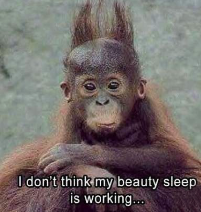 Well… It’s Monday again… have a great week! 

#HappyMonday