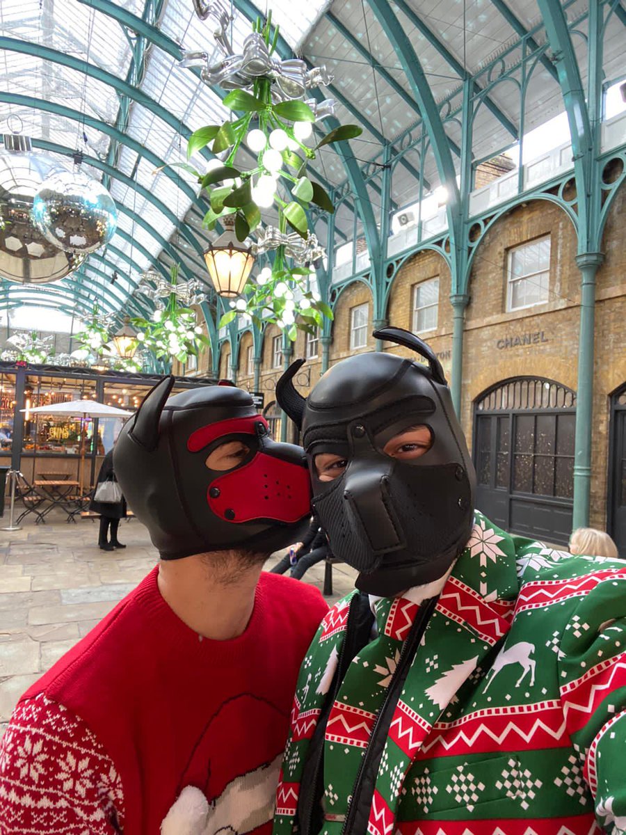 astro_lad's tweet photo. Mistletoe nuzzle ! https://t.co/sNQZPFTR3g