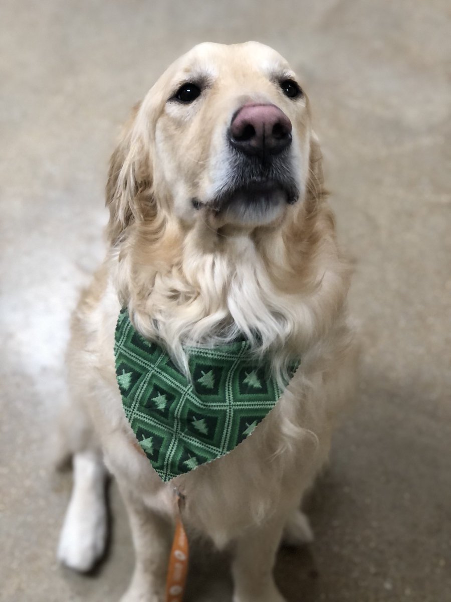 K🐶🌻 tweet media