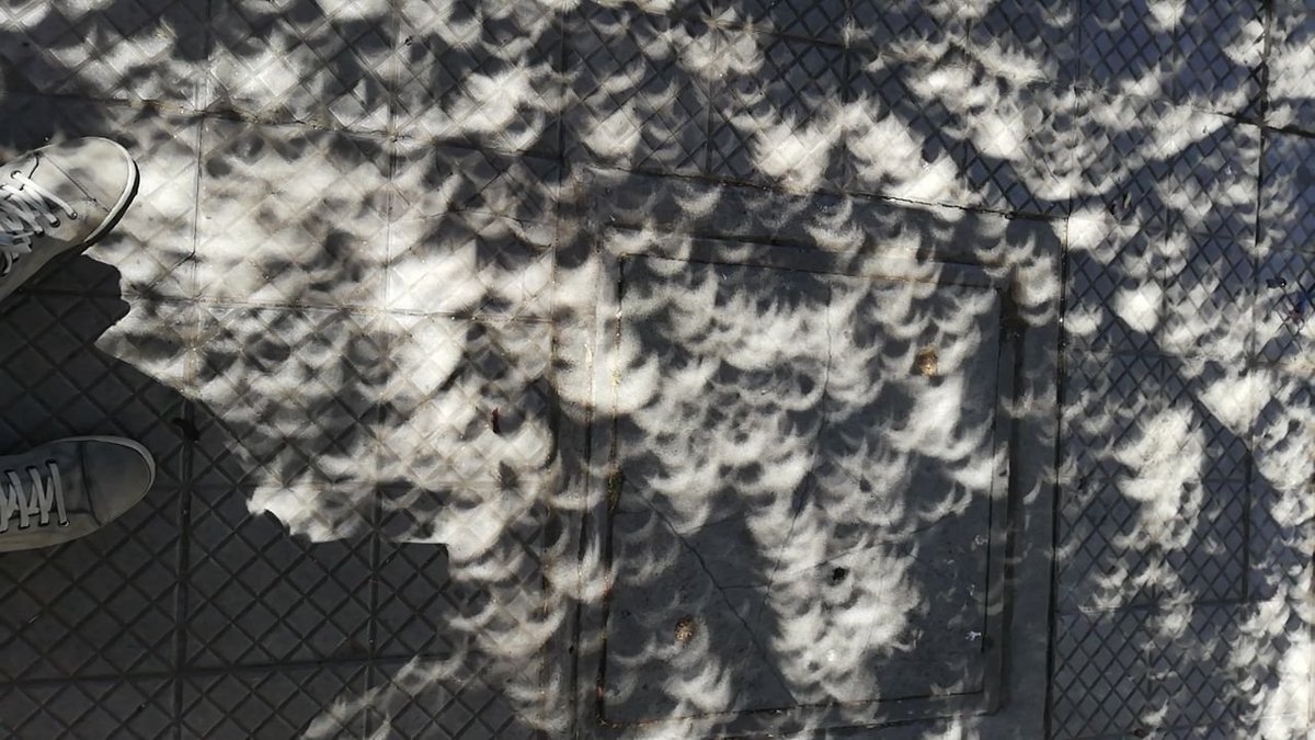 DescuentosRata's tweet photo. #TipRata Si no tienen lentes para ver el eclipse, miren las sombras en el suelo.

Por ahí decían un colador, también puede ser las hojas de los árboles.

(⚠ Cuiden sus ojitos y no vean directo al sol) https://t.co/xeNPvBfjGQ