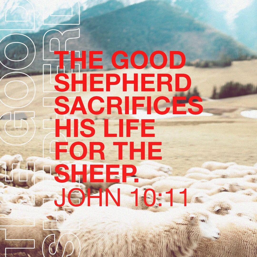 Jesus: the Good Shepherd ✝️🙏