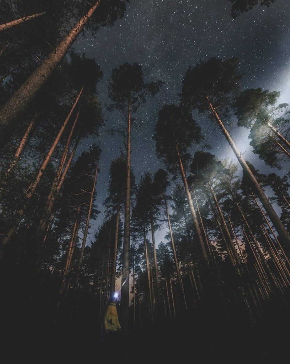 Lovindotie's tweet photo. Stargazing 🌟 via @chrisneilmckay https://t.co/kAGEHdLAWZ