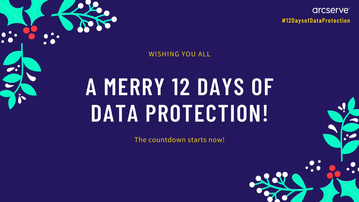 Arcserve's tweet photo. #Ransomware is snow laughing matter. ���️ That’s why over the next 12 days, we’re gifting you peace of mind with #cybersecurity tips. Look out for our #12DaysofDataProtection tweets for some helpful advice (and winter puns). https://t.co/GB00ABN1ru