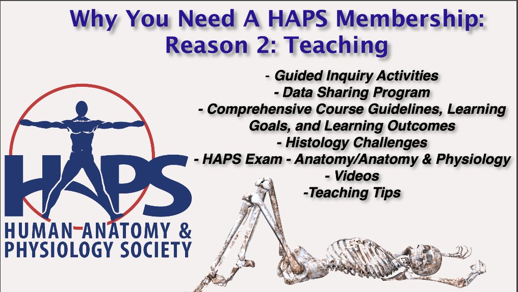 HumanAandPSoc's tweet photo. Reason 2 - Teaching! Your HAPS membership gives you access to curriculum mapping support and course level program learning outcomes to help create a successful anatomy program! #HAPS Be a #HAPSter
Click and join today! https://t.co/OMmkJUxwhY https://t.co/wRr9Xfgeo4